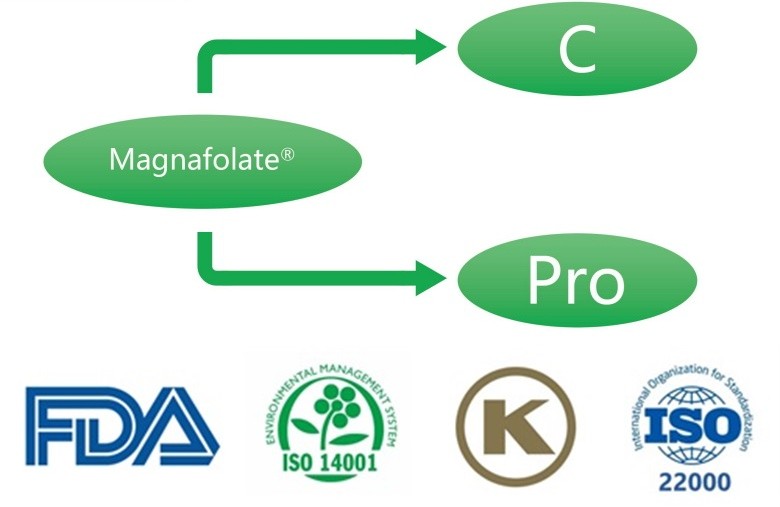 What is Calcium L-5-methyltetrahydrofolate? What are the suppliers?