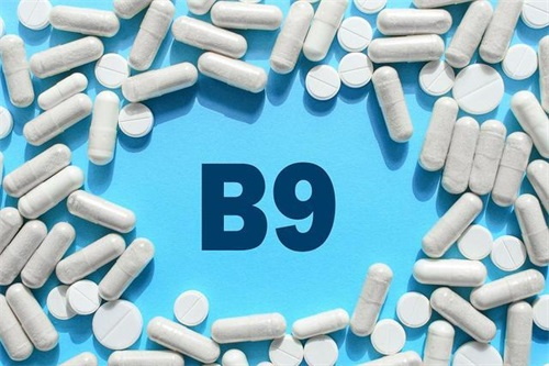 Role of calcium L-5-methyltetrahydrofolate--Magnafolate