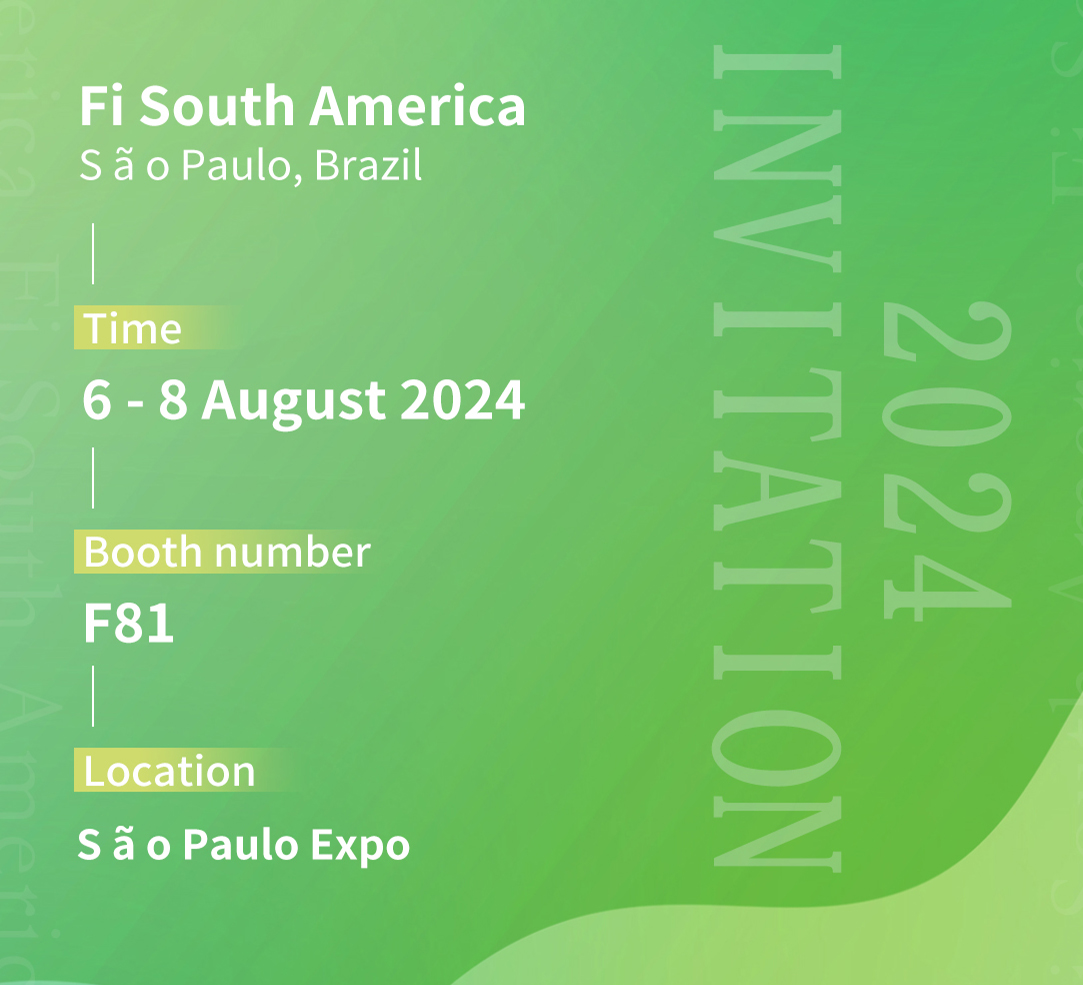 FI South America