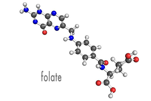 Series Introduction to Active Folate Impurities