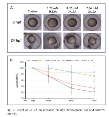 Series Introduction to Active Folate Impurities: ③ Unveiling the Impact of JK12A