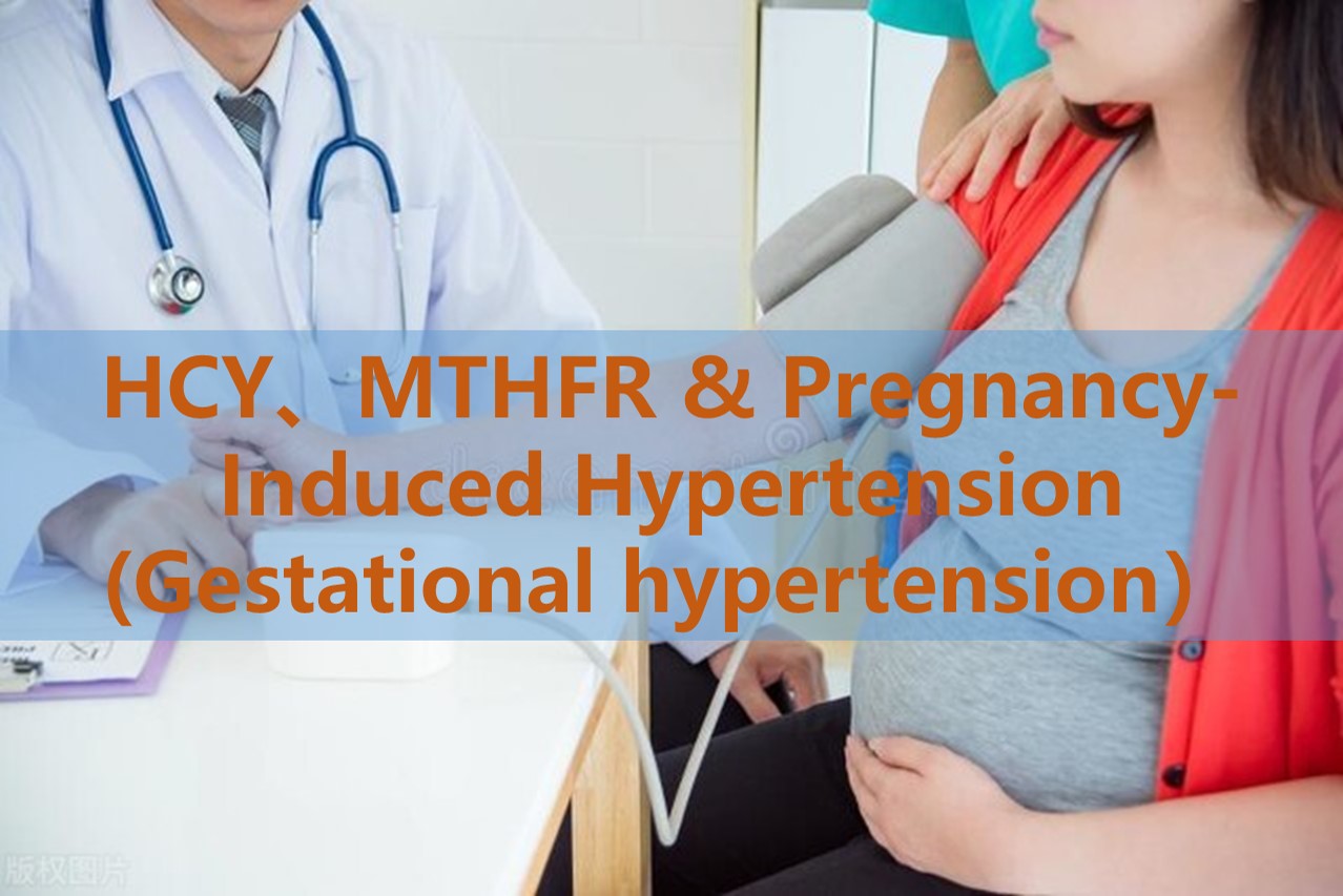 Folate Supplementation and Pregnancy-Induced Hypertension(Gestational hypertension): The Role of Homocysteine Levels and MTHFR Genetic Polymorphisms