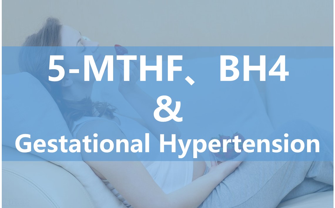 The Impact of 6S-5-Methyltetrahydrofolate on Endothelial Cell Function During Pregnancy and Its Potential in the Treatment of Gestational Hypertension